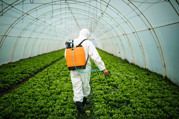 Best Pest Control for Homes  in Waukee, IA