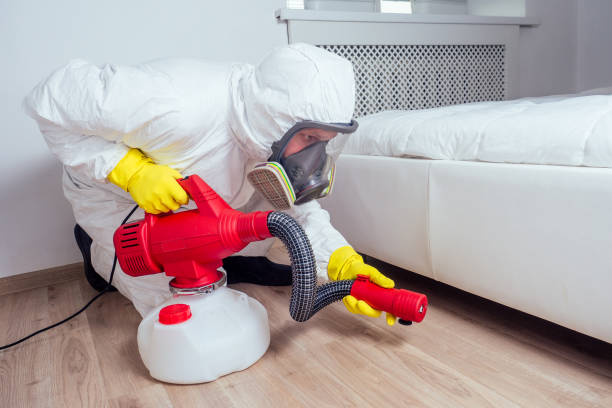 Best Termite Control Services  in Waukee, IA