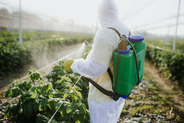 Best Best Pest Control Companies  in Waukee, IA